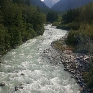 Meet your Posher, Wendy